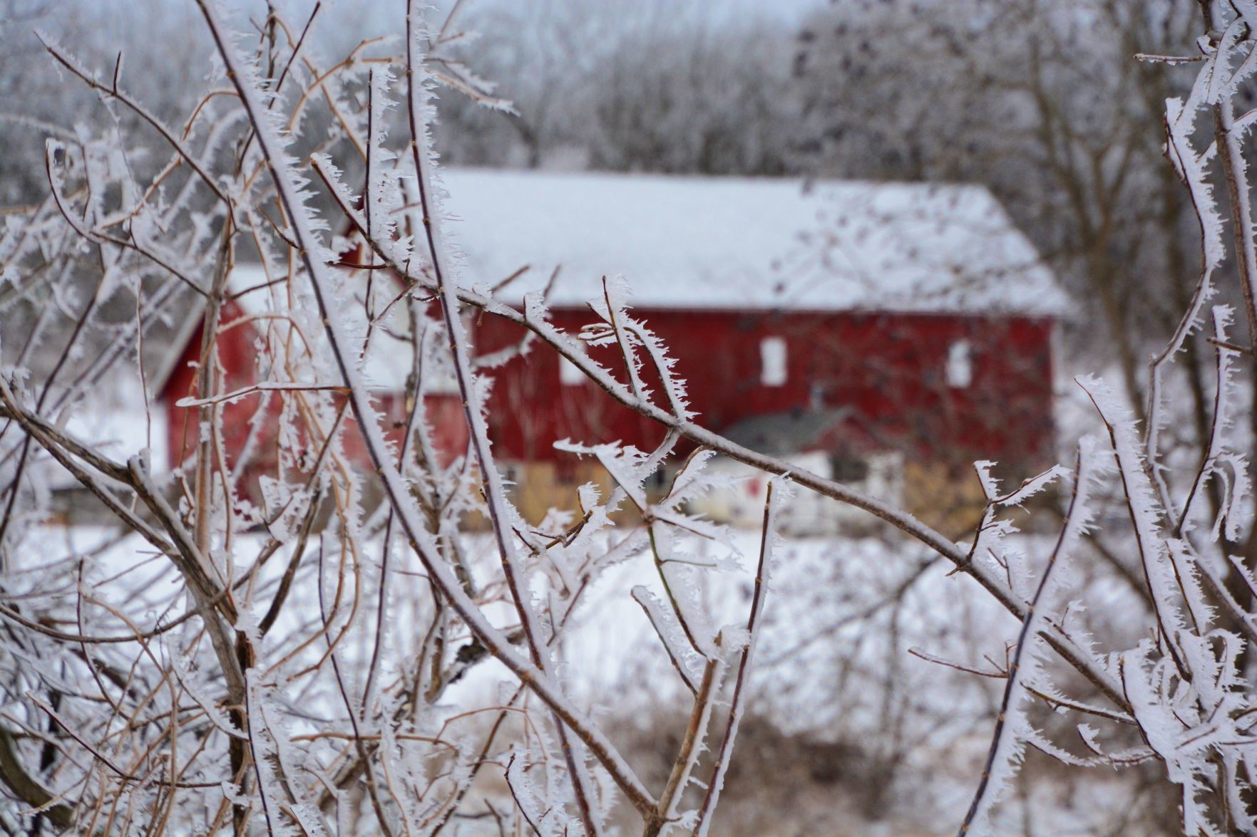 Hoar frost paints countryside